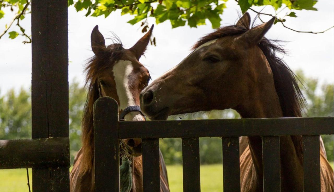 Holiday Home Haras Du Ry Brevands Buitenkant foto